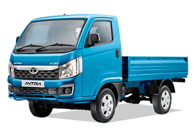 Tata Ace Gold Petrol